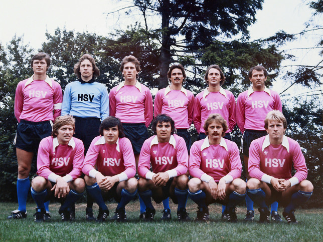 wi_hsv-in-pink__1200px_1